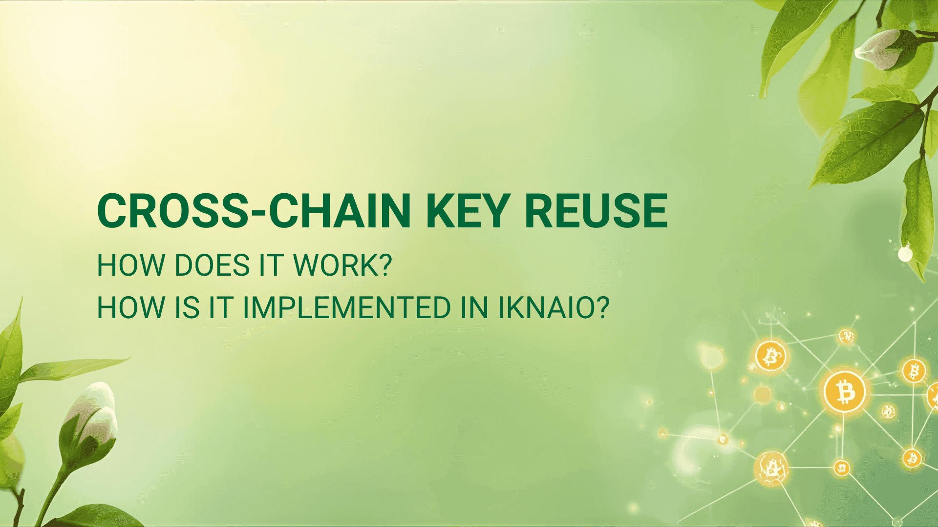 Cross-Chain Key Reuse: How Public Keys Link Addresses Across Chains